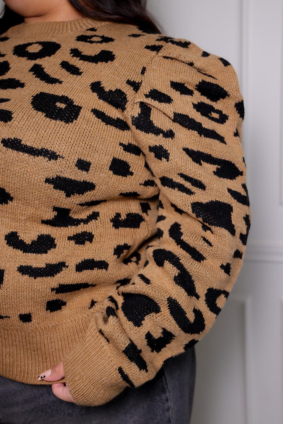 Cheetah Print Sweater